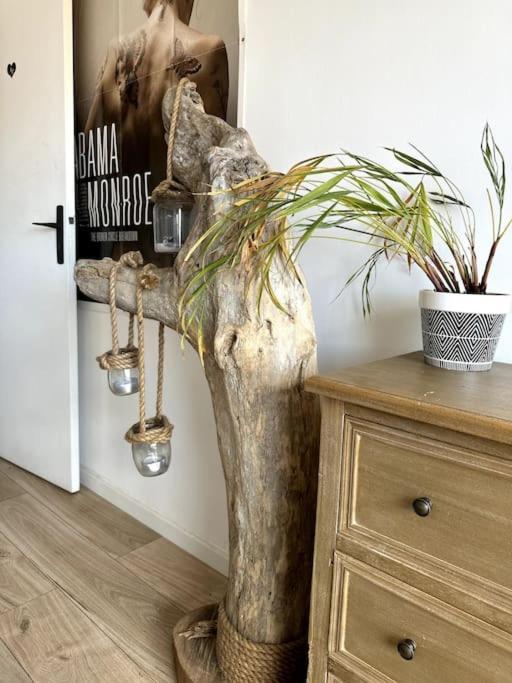 Cosy Calao - Parking Ferme Gratuit Apartment Perpignan