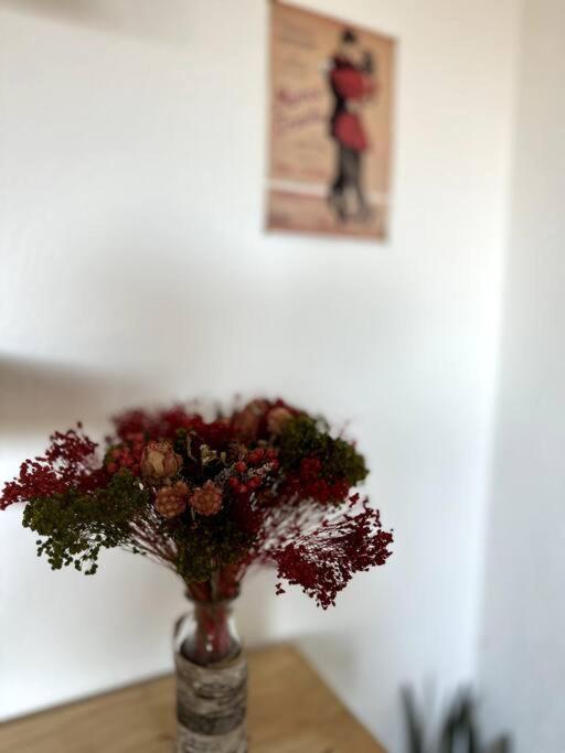 Cosy Calao - Parking Ferme Gratuit Apartment *