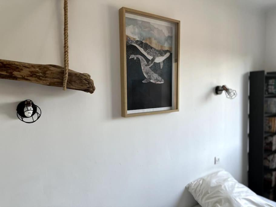 Cosy Calao - Parking Ferme Gratuit Perpignan